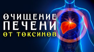 Матрица Гаряева Очищение Печени от Токсинов ☀️ Полное Восстановление и Исцеление Печени Звуком [upl. by Inar97]