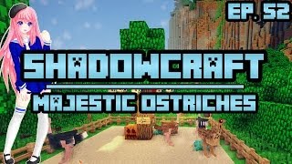 Majestic Ostriches  ShadowCraft  Ep 52 [upl. by Erika]