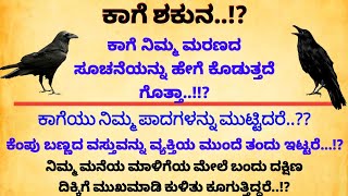 ಕಾಗೆ ಶಕುನ Revealing the Secrets of Useful Information in Kannada usefulinformation [upl. by Helgeson]