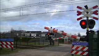 Spoorwegovergang Mariënberg  Dutch railroad crossing [upl. by Stefan914]