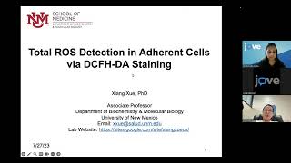 ROS Detection in Adherent Cells via DCFH DA Staining [upl. by Tempa]