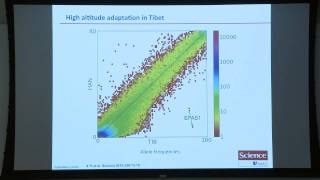 MPG Primer Population Genetics 2015 [upl. by Llertak542]