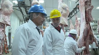 Washington Grown Inside a Beef Slaughter Facility [upl. by Ellasal]