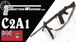 C2A1 Canadas Squad Automatic FAL [upl. by Bria270]