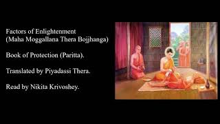 Factors of Enlightenment Maha Moggallana Thera Bojjhanga English translation and reading [upl. by Isborne]