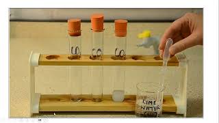 Chemical characterisitc properties [upl. by Shaefer]