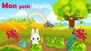 Hop Petits Lapins  Comptines et chansons pour enfants  BB LouLou [upl. by Nirad]