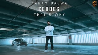 Karam Bajwa  Echoes EP  Thats Why [upl. by Kila]