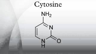 Cytosine [upl. by Enrica]