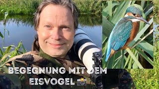 Mein erster Eisvogel 2020 im Naturpark Westhavelland [upl. by Navad837]