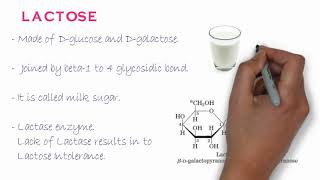 Biochemistry of Oligosaccharides [upl. by Drofiar741]