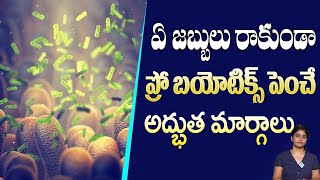 ప్రోబయోటెక్ ని పెంచే మార్గాలు  How to Improve Probiotics Naturally  Reduces Acidity  Gas Trouble [upl. by Carolan189]