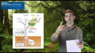 Biologie végétale  Comprendre les plantes [upl. by Bac]