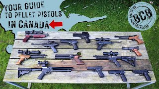 A Quick Guide to Pellet Pistols in Canada bcballistics [upl. by Gatian]