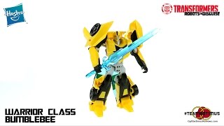 Video Review of the 2015 Transformers Robots in Disguise Warrior Class Bumblebee [upl. by Hays]