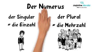 Latein  Einfach erklärt Grundbegriffe Grundwissen für die Grammatik [upl. by Anecusa]