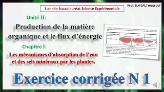 Exercice corrigée N1Mécanismes d’absorption de l’eau et des sels minéraux par les plantes [upl. by Iuq]