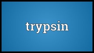 Trypsin Meaning [upl. by Ardnaskela]