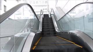 【散策】お台場 フジテレビまでのエスカレーター Walking Escalator up to Odaiba Fuji TV [upl. by Noemi572]