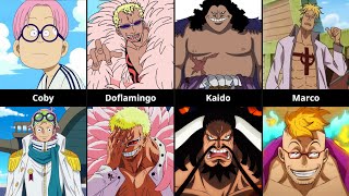 One Piece Characters Before And After Timeskip [upl. by Joelie]