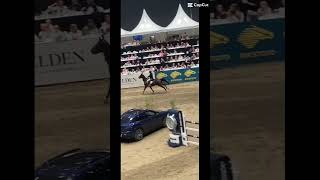 I was at Oslo horse show yesterday It was soooo fun🫶🏼 oslohorseshowfypシ゚viral riding [upl. by Tolliver]