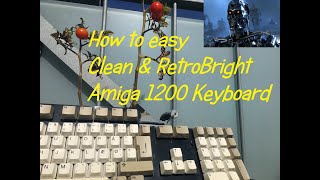 How to easy Clean amp RetroBright Amiga 1200 Keyboard [upl. by Aratnahs]