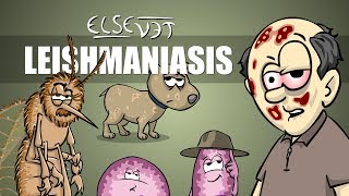 Leishmaniasis  Plain and Simple [upl. by Bambie475]