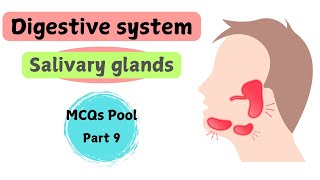 Salivary glands  Digestive System  gross anatomy  MCQs pool  part 9 [upl. by Mellen]