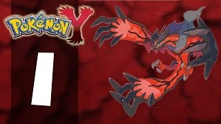 Pokémon Y  Part 1 PlaythroughWalkthrough [upl. by Isus]