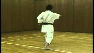 Ikeda Hoshu  Jyoshinmon karate kata Wanshu [upl. by Ynned]