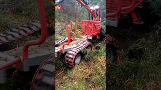 Bizon v Krušných horách LessMB 🌲🇨🇿forestry logging farminghusqvarna stihl [upl. by Nido152]