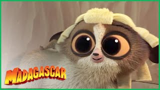 Madagascar 3 2012  King Julien Falls in Love Scene 410  Movieclips [upl. by Rehposirhc]