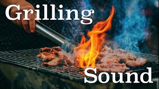 FREE SOUND EFFECTS Meat Sizzling on a Grill [upl. by Killam]