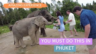 Elephant Retirement Park Phuket Feed and Care Program [upl. by Asiole432]