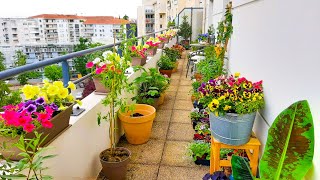 Planting a LOT Of Petunias On My Balcony [upl. by Eldwin]