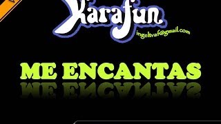 ME ENCANTAS  PEDRO FERNANDEZ  karaoke   VAF [upl. by Berty]