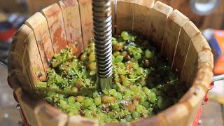 Making a White Wine from Grapes [upl. by Selestina480]