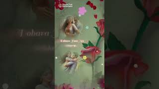 ❤️ the cute song in Hindi song 👌🌹 [upl. by Lipman]