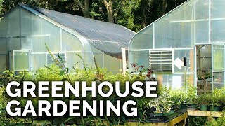 Greenhouses 101 Everything You Need to Know [upl. by Hembree420]