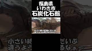 いわき市石炭化石館だよ。shorts 福島県 福島県いわき市 [upl. by Yeldud]