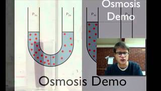 Osmosis Demo [upl. by Enuj835]