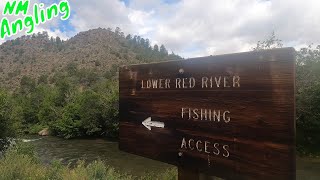 TROUT FISHING in RED RIVER amp HATCHERY VISIT [upl. by Oralla]