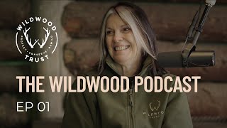 What is conservation With Director of Conservation Laura Gardner  THE WILDWOOD PODCAST EP01 [upl. by Mongeau]