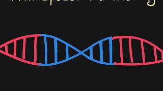 Introduction to Transposons [upl. by Standford598]