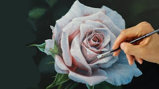 how to paint a rose  realistic rose painting tutorial [upl. by Airetnahs]