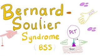 BernardSoulier Syndrome BSS [upl. by Midge]