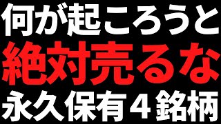 この株達は絶対に売るな！永久保有をおすすめする４銘柄 [upl. by Nedi]