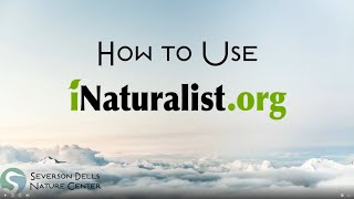 iNaturalist Web Tutorial [upl. by Lesna]