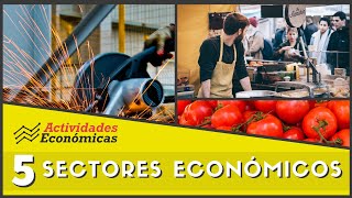 Los 5 sectores económicos Economía Ejemplos y características [upl. by Kreager603]