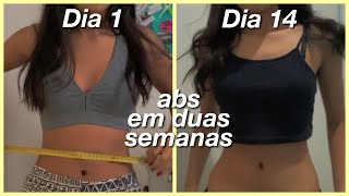 abdominais em 2 semanas desafio da chloe ting [upl. by Revolc]